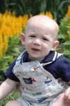 7835081_orig.gif